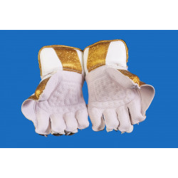 HB Wicket Keeping Gloves - Player Edition - White